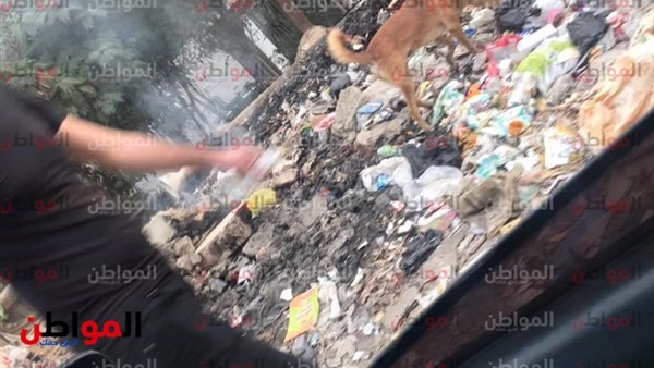 انتشار القمامة بحي