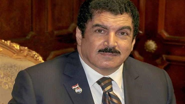 محافظ القليوبية