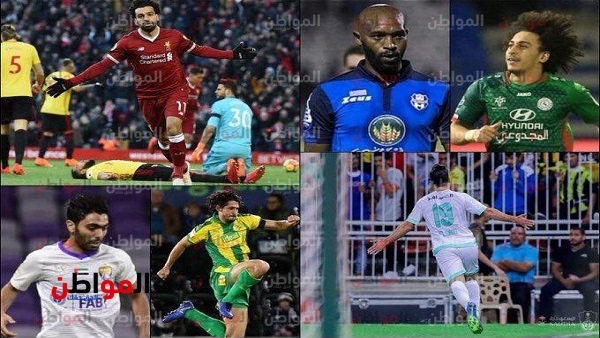 تألق لافت للمحترفين