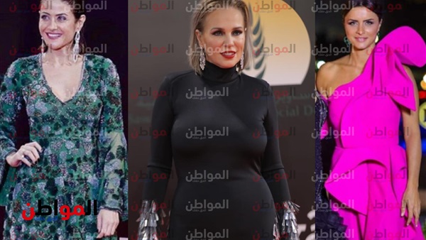 الفنانة شيرين رضا