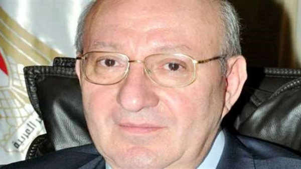 ناصر حمدي - السفير