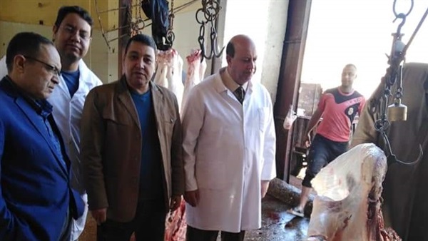 بيطري بني سويف