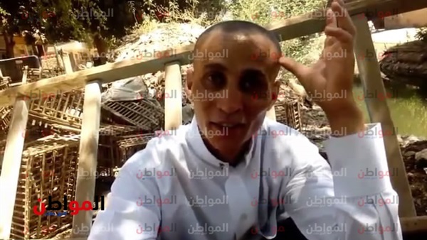 المواطن
