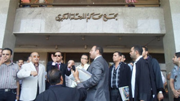 محكمة جنايات المحلة