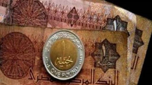 الحكومة تكشف حقيقة