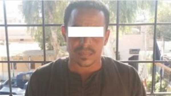 نصاب المنيا