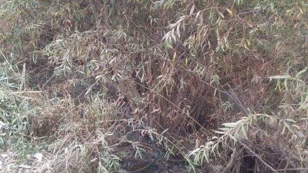 تطهير الترعة المائية