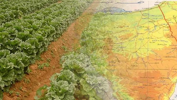 تنمية سيناء