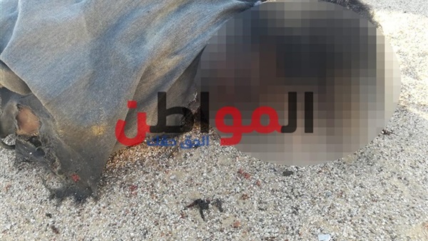 منفذي حادث دير الأنبا