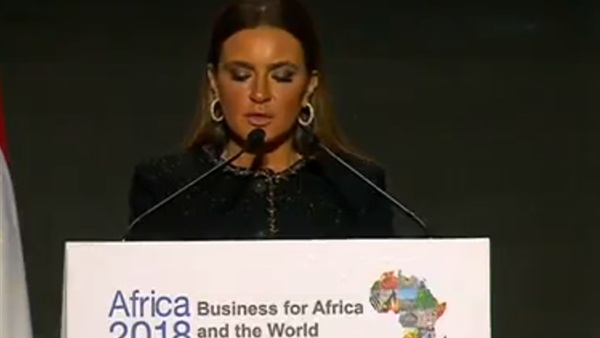 وزيرة الاستثمار من