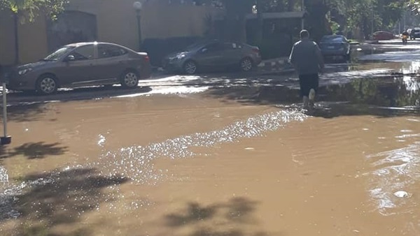 حي المعادي