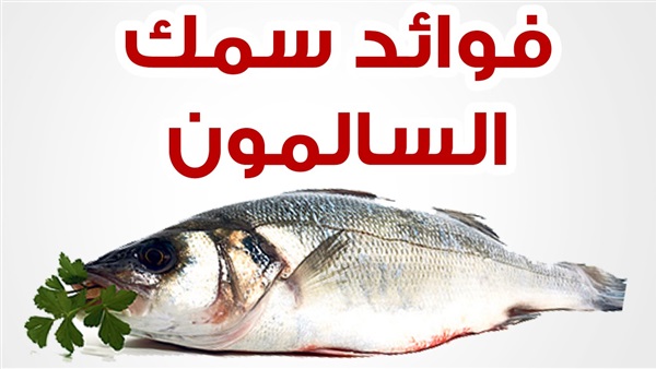 سمك السلمون