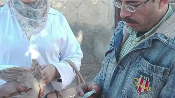 حملة بيطرية