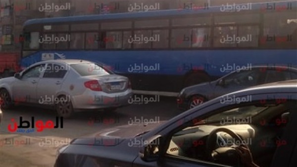 المواطن