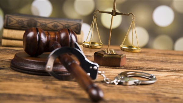 دعوى إلزام الحكومة