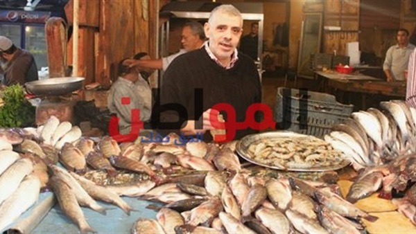 أسعار الأسماك بالإسكندرية