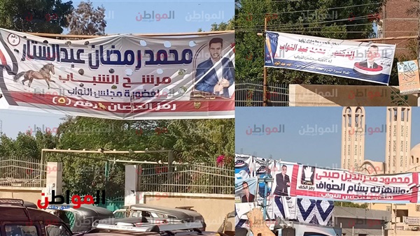 الانتخابات التكميلية