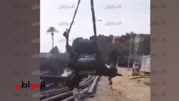 لقطة من الفيديو