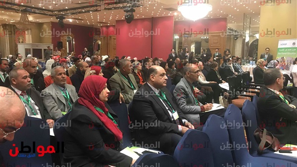 محاكاة تحقيق رؤية