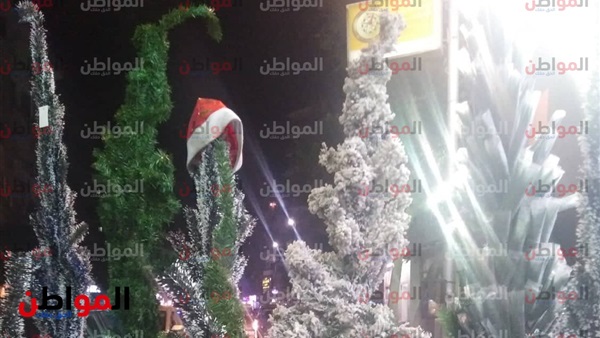 شجرة الكريسماس