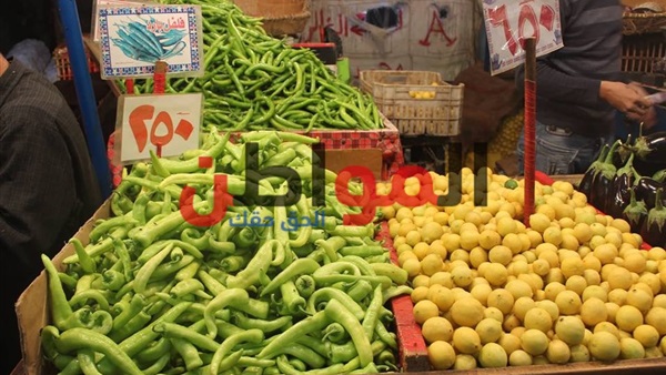 أسعار الخضروات والفاكهة