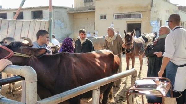 حملة بيطرية
