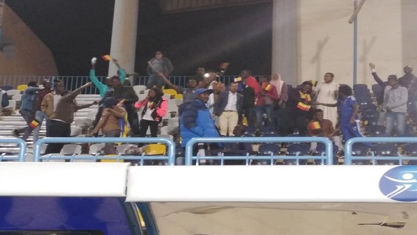جماهير القطن التشادي
