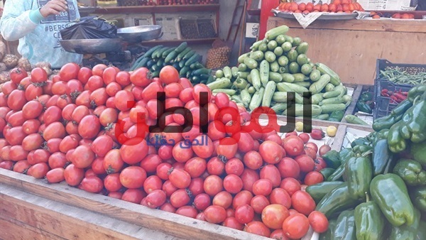 أسعار الخضروات في