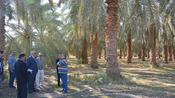 تطوير محطة البحوث