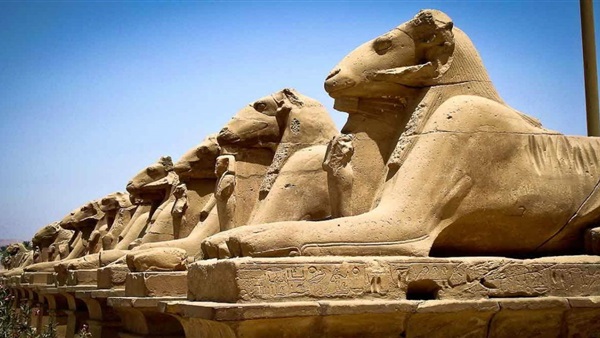 زيادة أسعار تذاكر