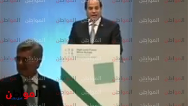 الرئيس السيسى ونجاح