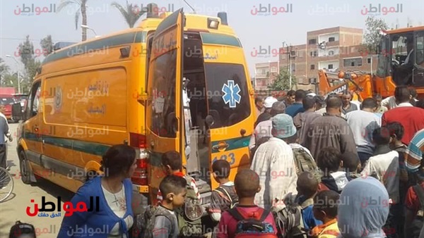 المواطن