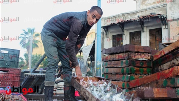 بحري