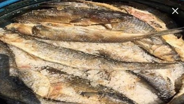 رنجة فاسدة