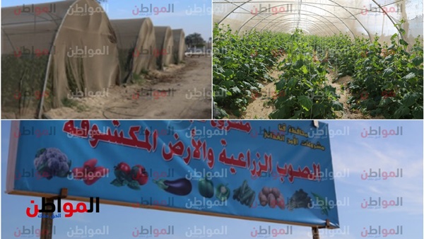 مشروع الصوب الزراعية