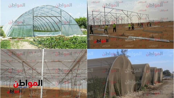 آلية عمل الصوب الزراعية