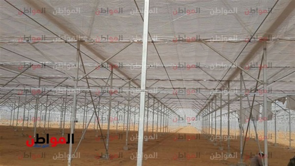 زراعة محصول الفلفل