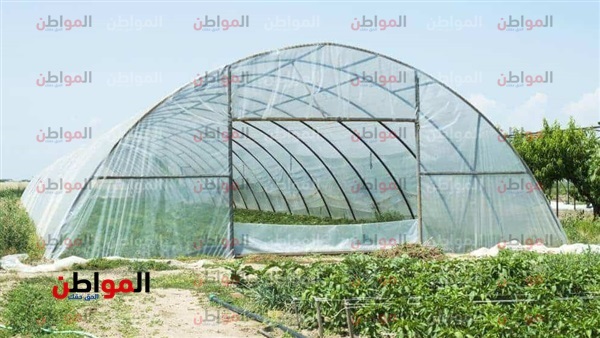 الصوب الزراعية وتحقيق