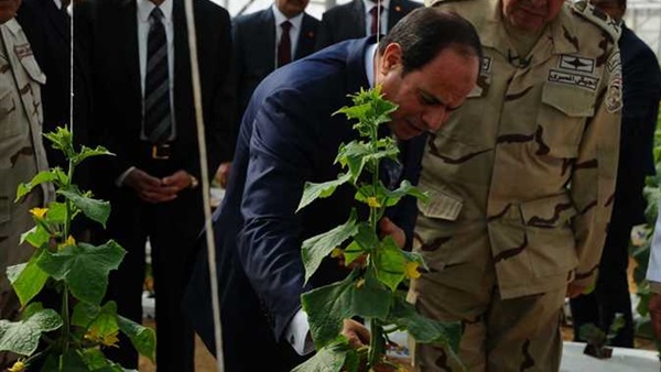 الرئيس السيسي في
