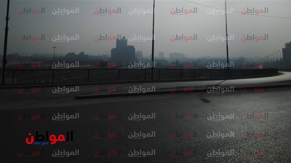 شاهين والطقس البارد