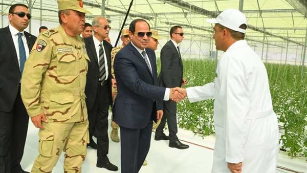 مشروع الصوب الزراعية