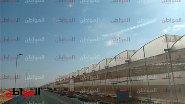 أنواع هياكل الصوب