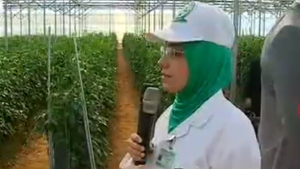 البيت الزراعي المحمي