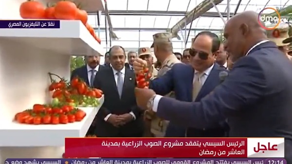 السيسى وتفقد مشروع