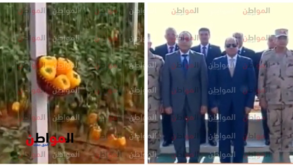 الرئيس السيسي والصوب