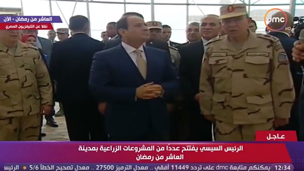 الرئيس السيسى وتبوير