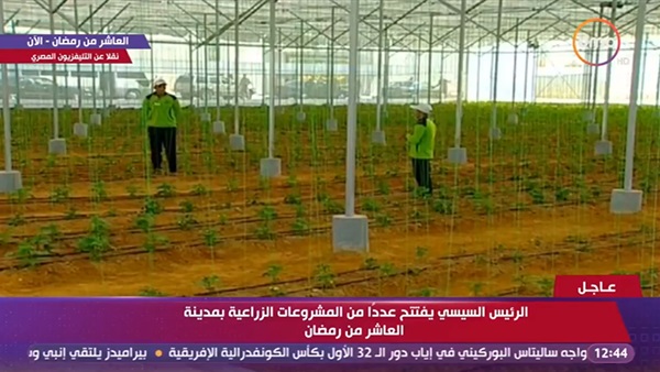 الرئيس السيسى وعمليات