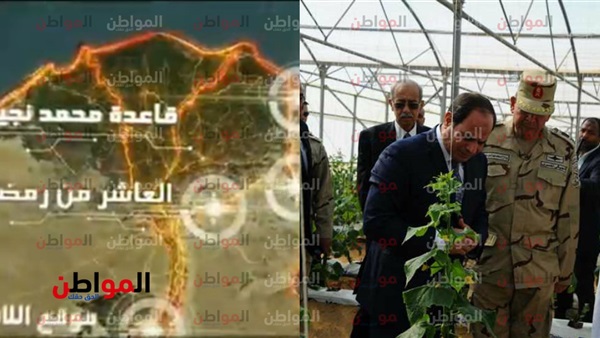 فيلم تسجيلي عن المشروع