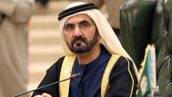 نائب رئيس مجلس الوزراء