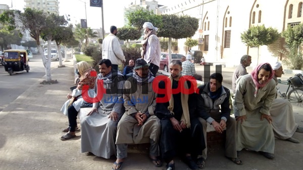 عمال اليومية في الغربية